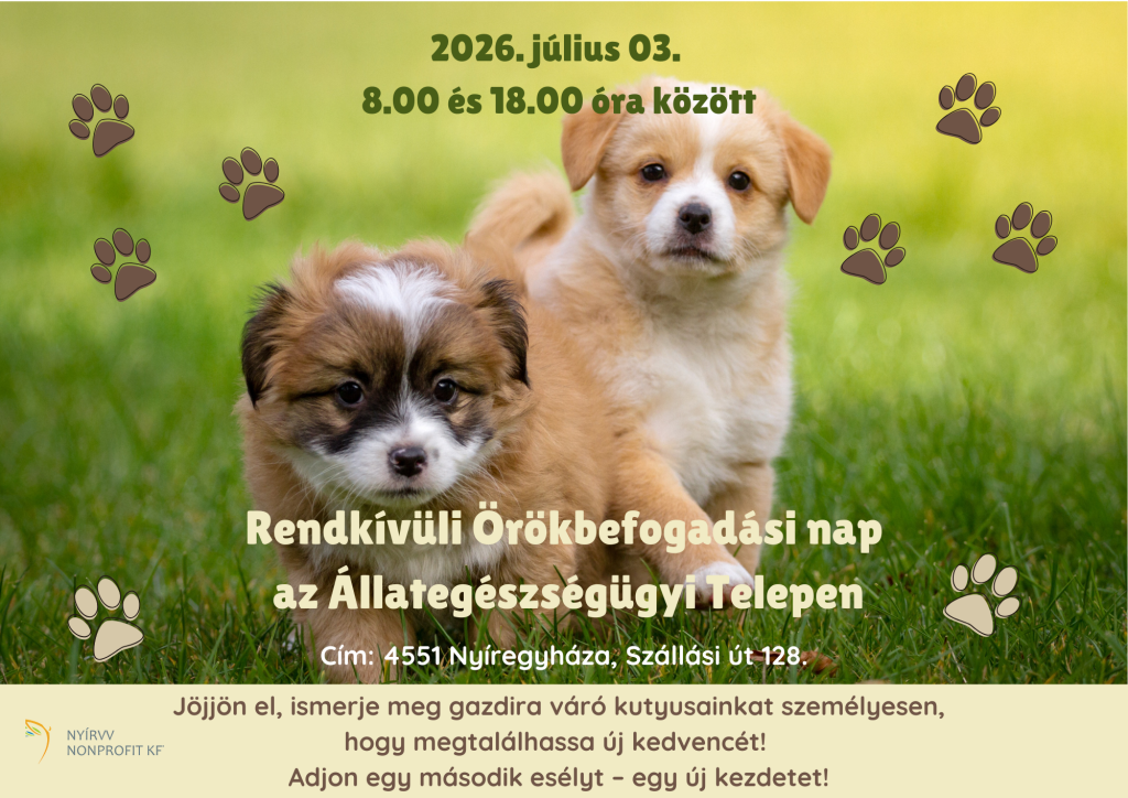 Rendkívüli örökbefogadás 2026.07.03-án