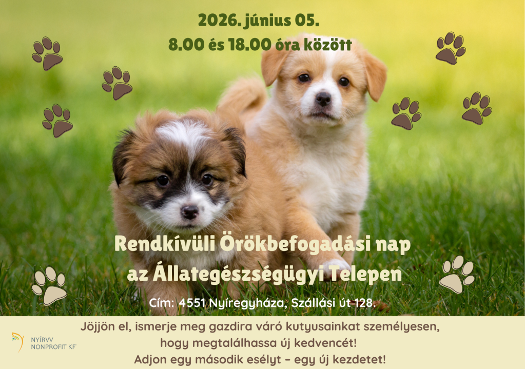 Rendkívüli örökbefogadás 2026.06.05-én
