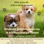 Rendkívüli örökbefogadás 2026.06.05-én