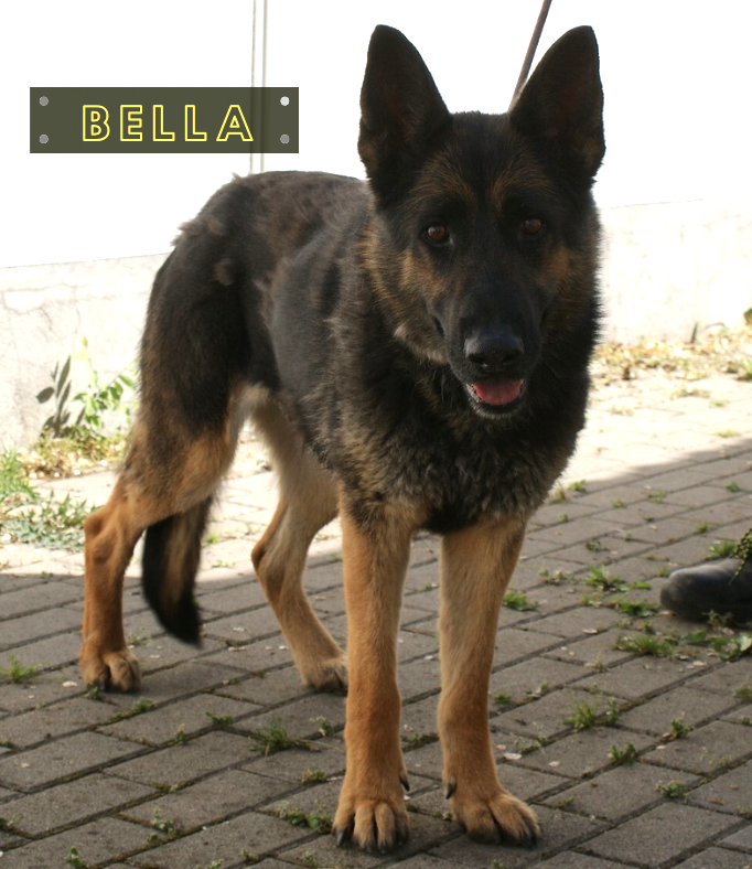 Bella