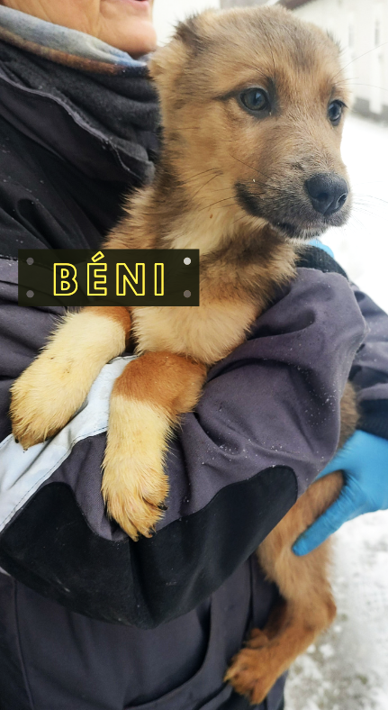 Béni
