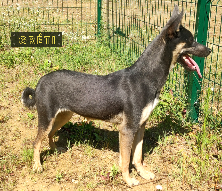 Gréti