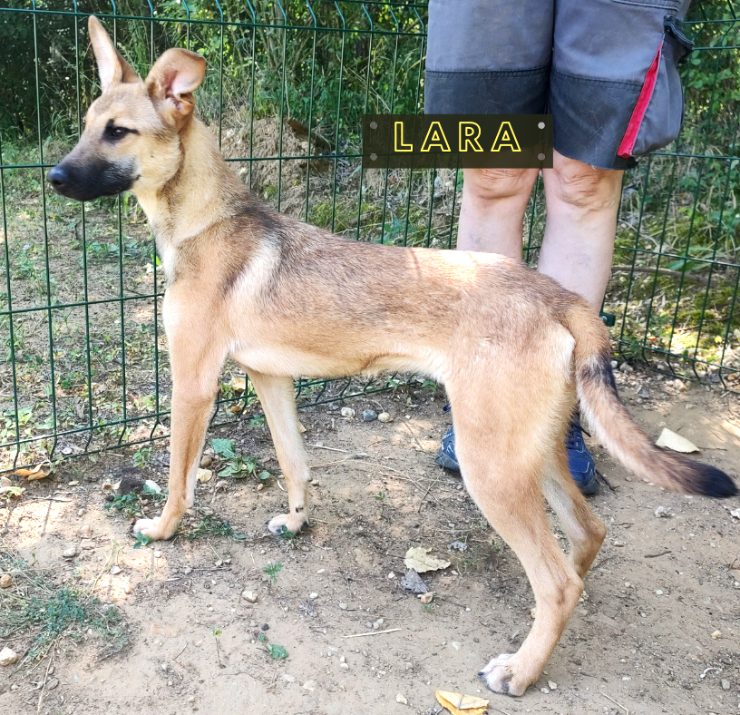 Lara
