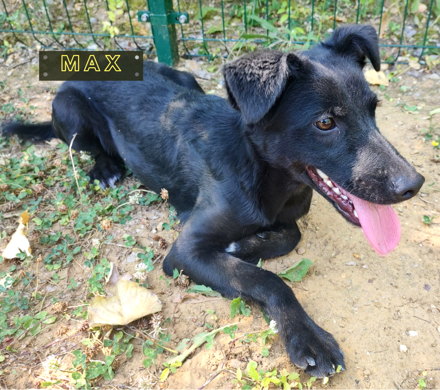Max