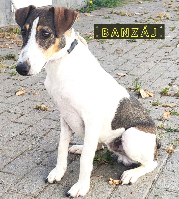 Banzáj