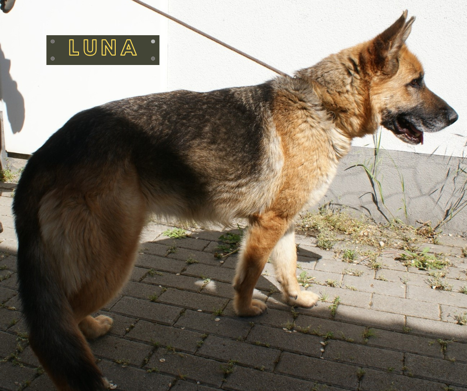Luna