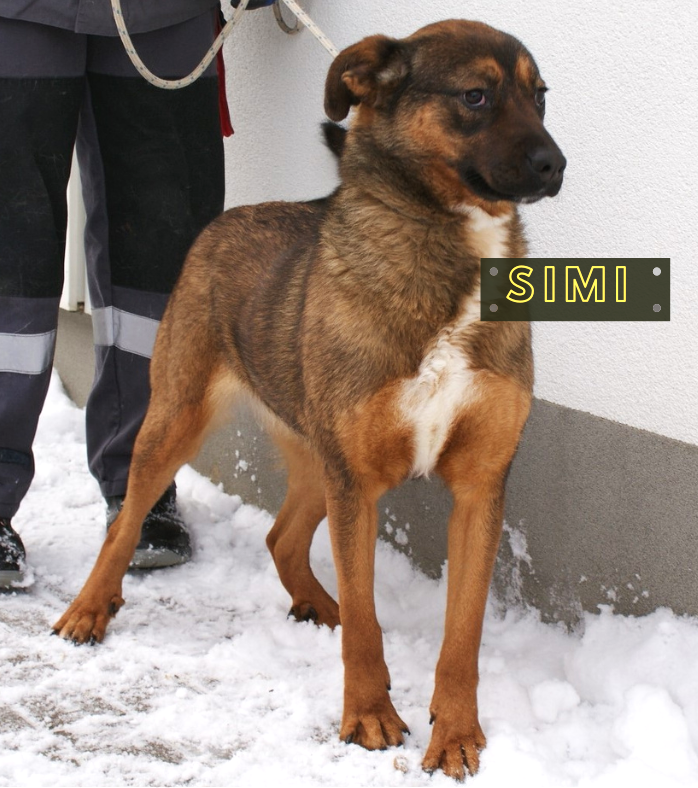 Simi