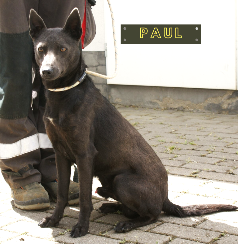 Paul Paul