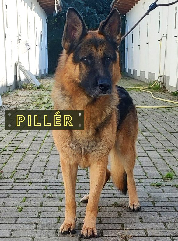 Pillér