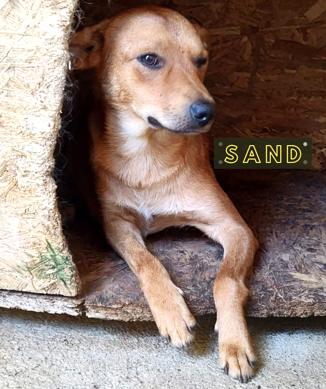 Sand